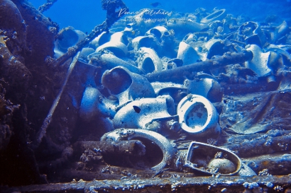 Shark Reef en Yolanda Reef