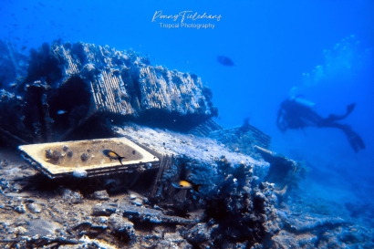 Shark Reef en Yolanda Reef