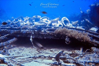 Shark Reef en Yolanda Reef